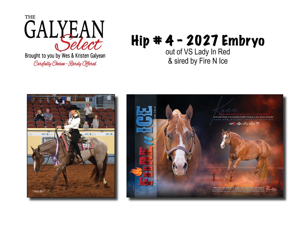 2027 Embryo (Fiire N Ice x VS Lady In Red)