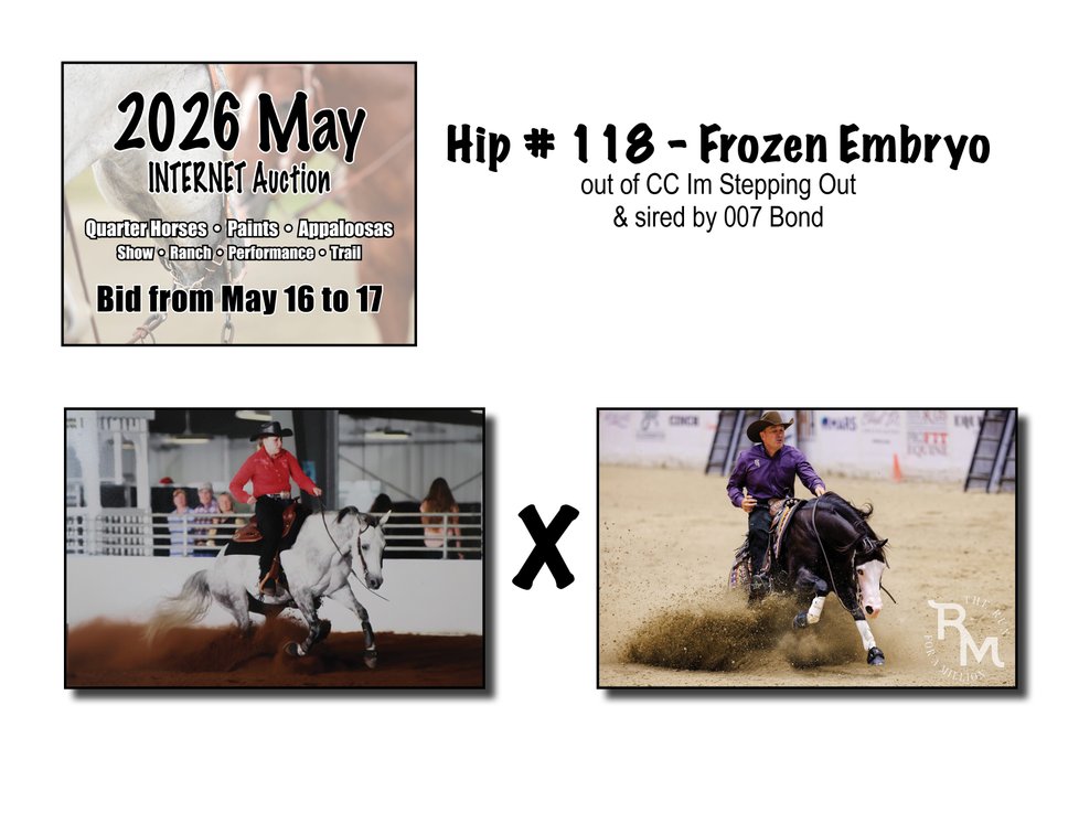 Frozen Embryo (007 Bond x CC Im Stepping Out)