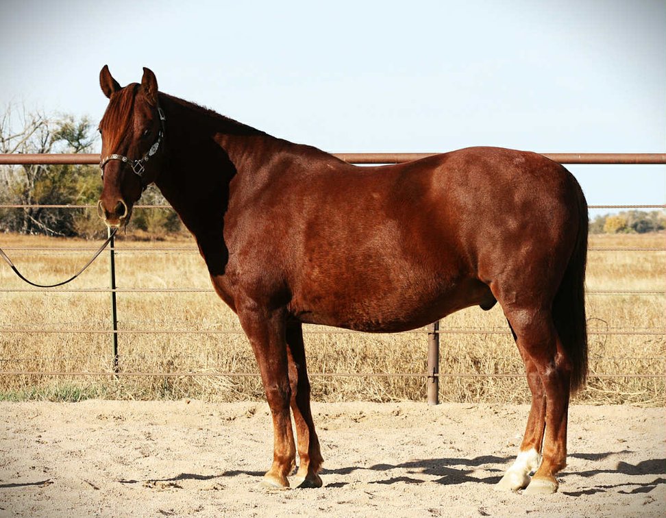 Tex