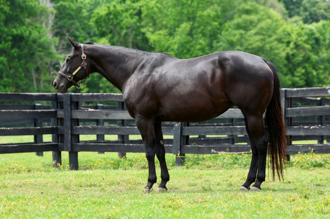 Image for Masterson Farms LLC Online Select Sale