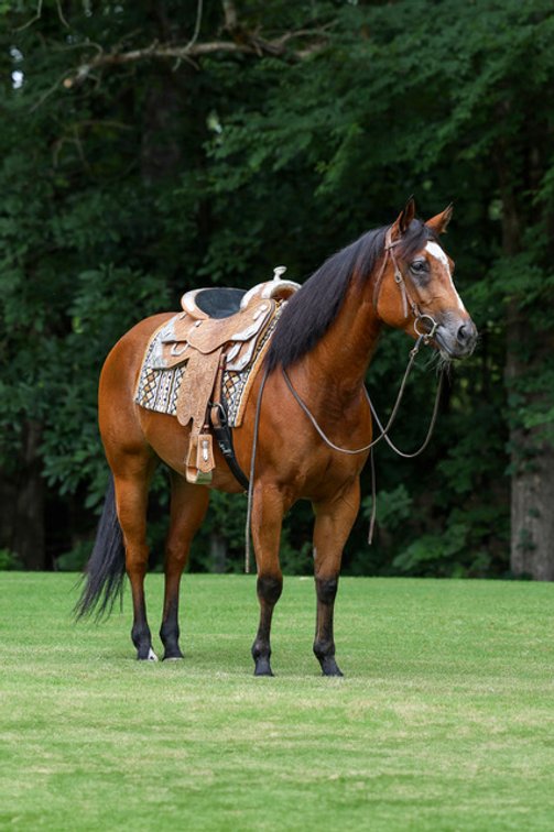Image for Masterson Farms LLC Online Select Sale