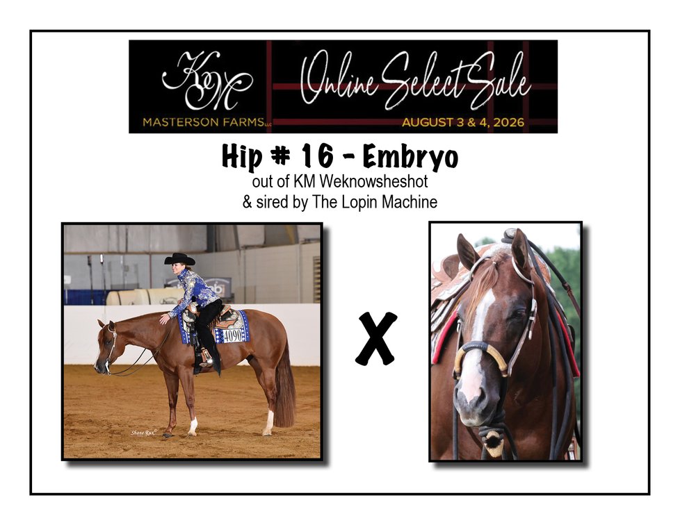 2027 embryo (The Lopin Machine x KM Weknowsheshot)