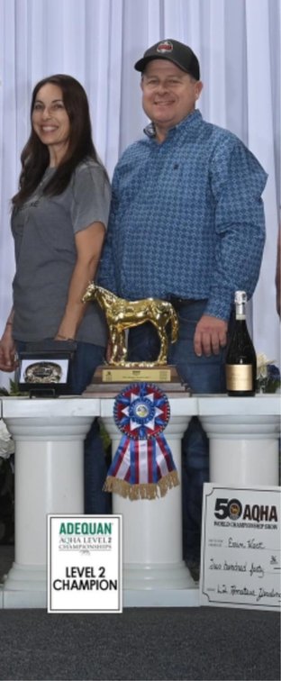 One month training with Joe O'Gorman Show Horses