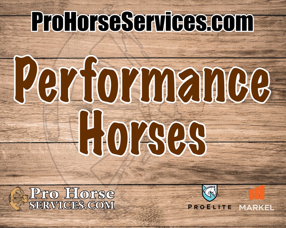 Performance Horses