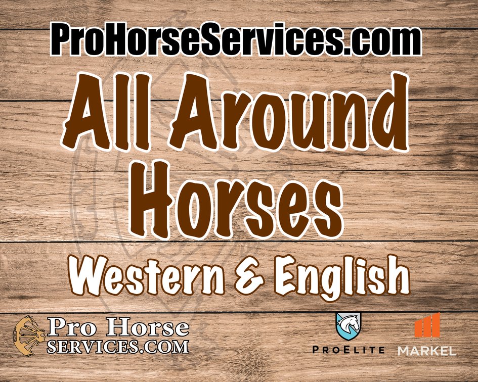 All Around Entries - Western,  English & Halter