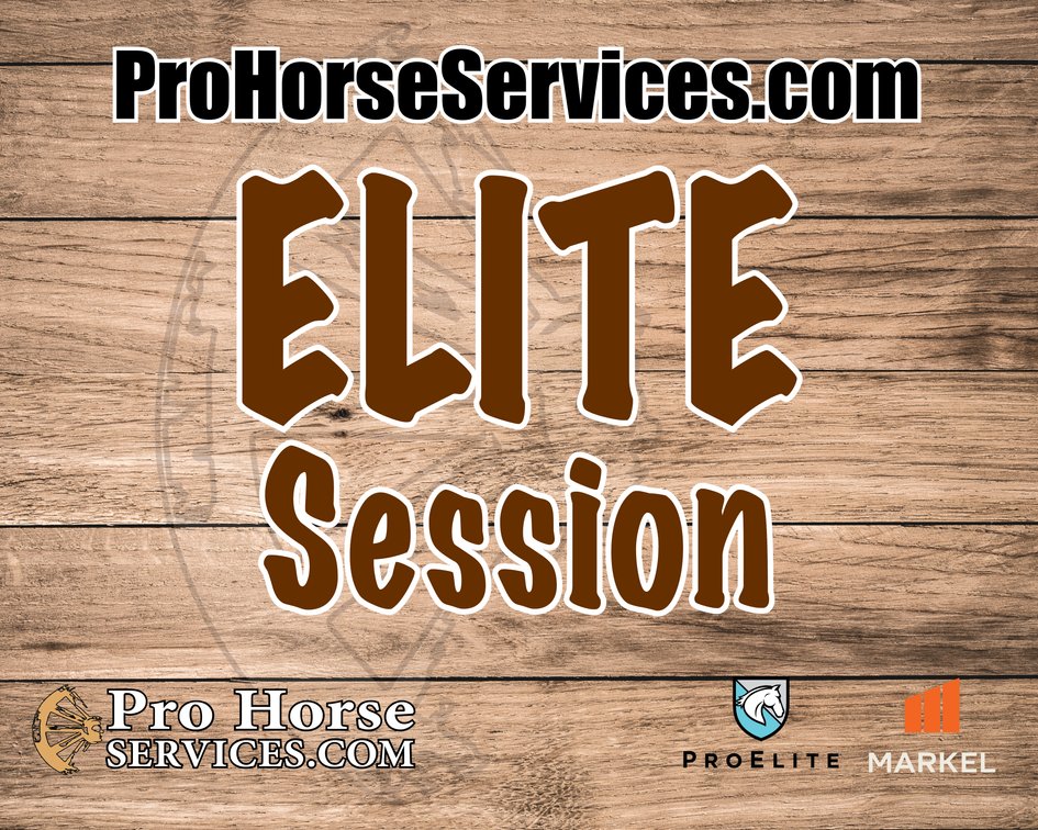 Elite Session