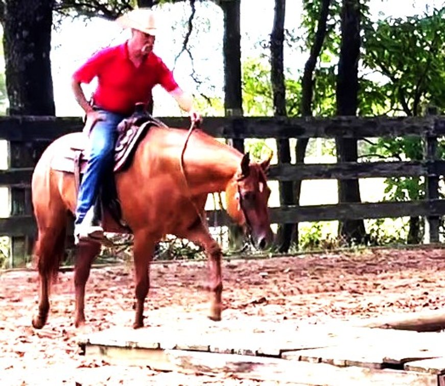 Reeboks Last Cowgirl