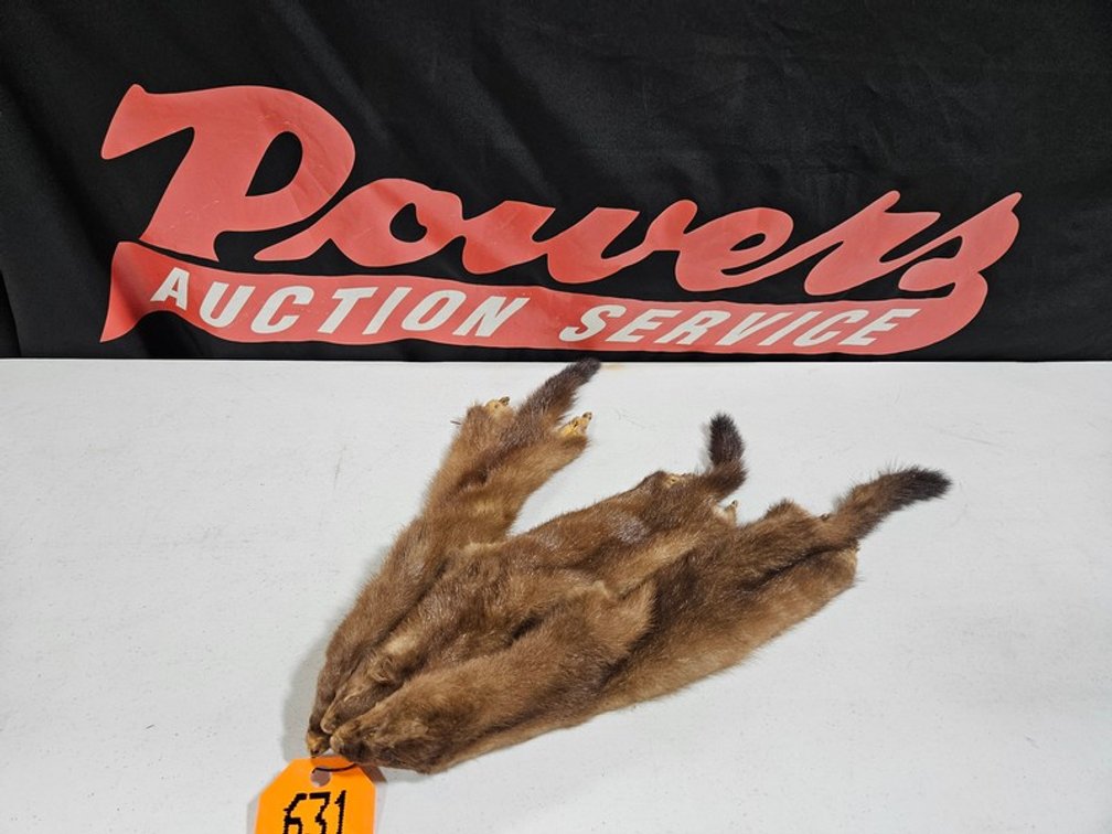 (3) Tanned Mink Hides