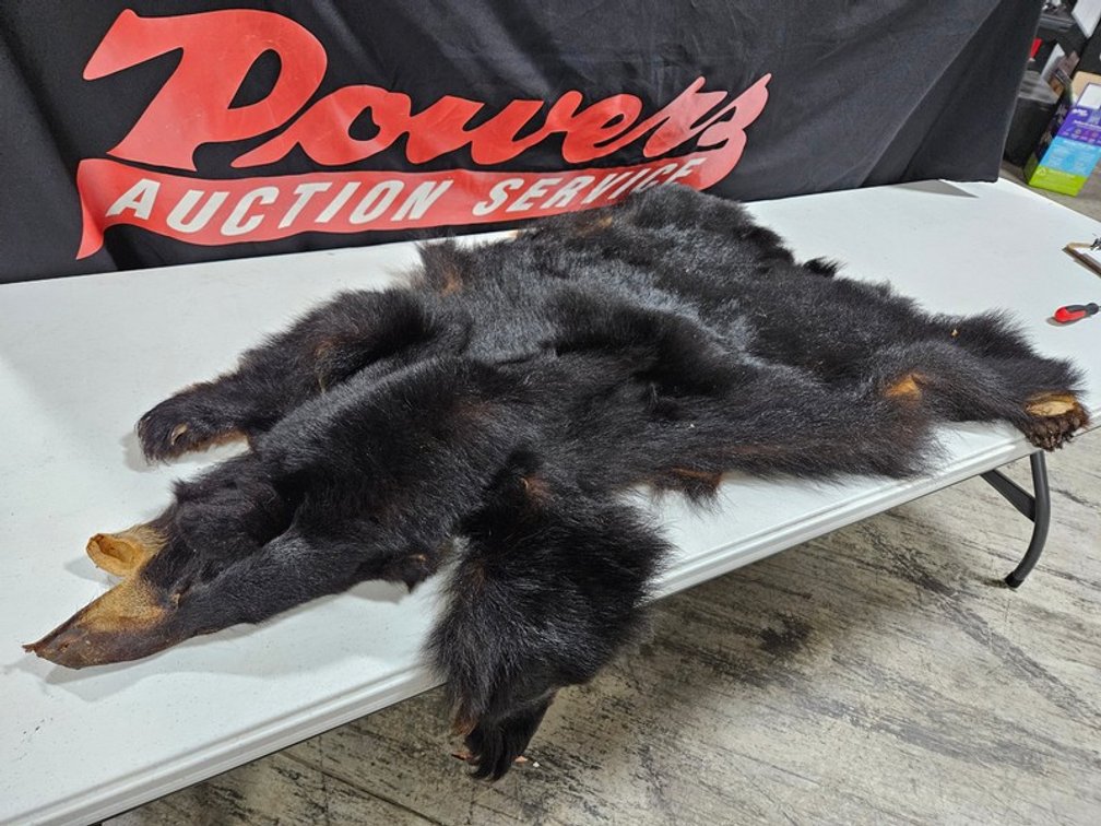 Wisconsin Black Bear Tanned Hide