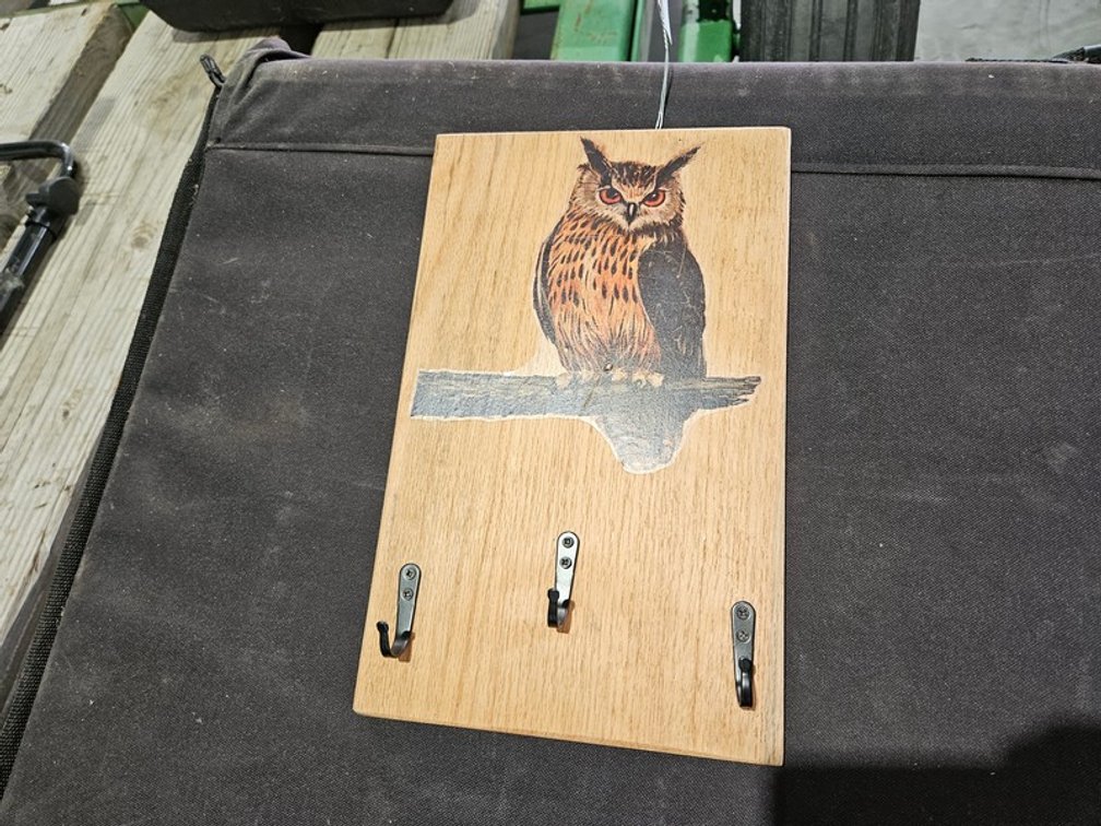 Painted Owl Key Hanger