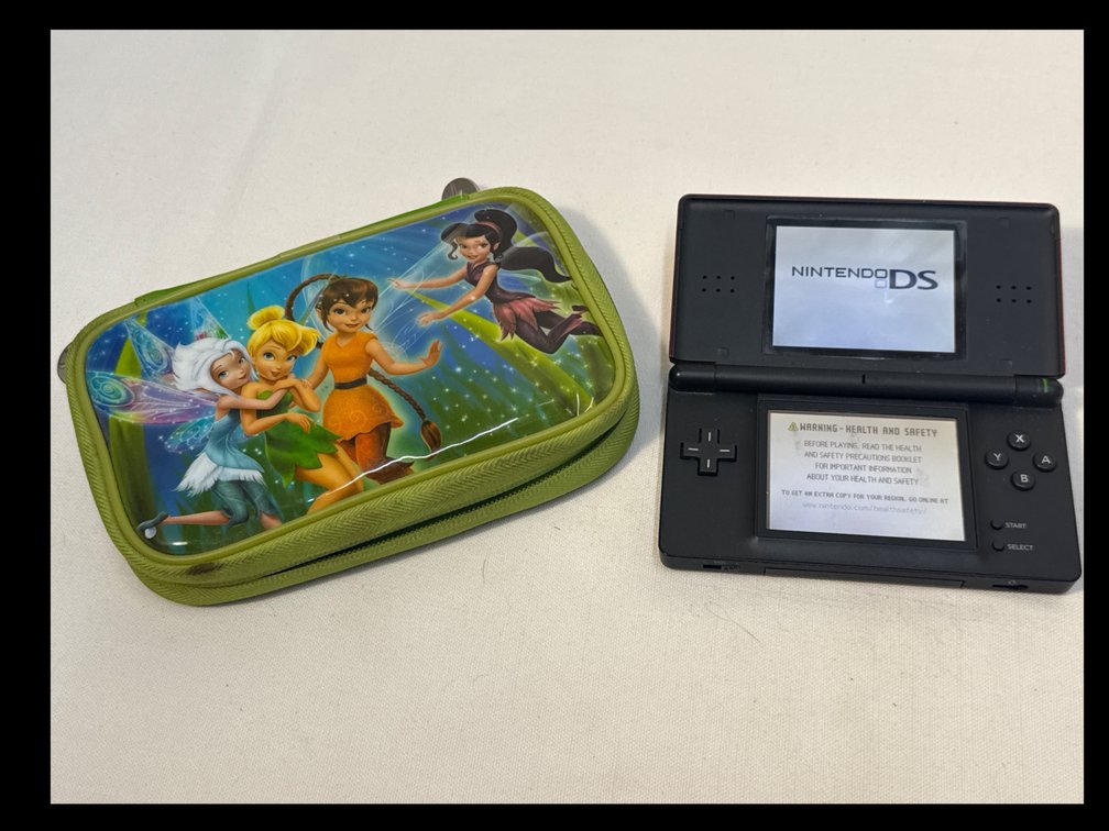 Nintendo DS, Case & Games