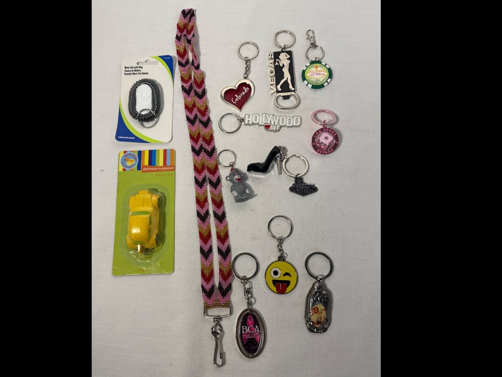 Keychains (14)