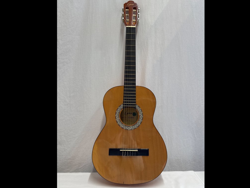 Lyons Guitar & Carry Case/Bag