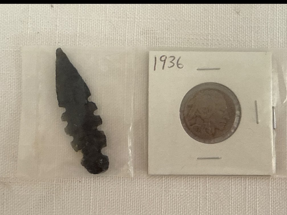 Vintage Buffalo Nickel & Arrowhead Collection (2)