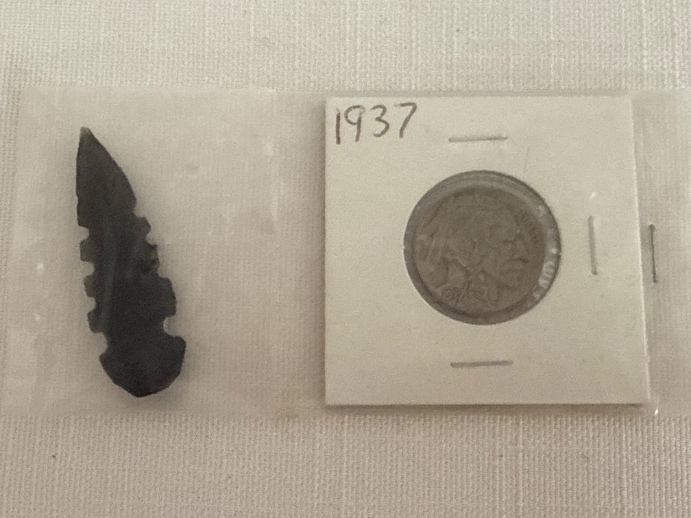 Vintage Buffalo Nickel & Arrowhead