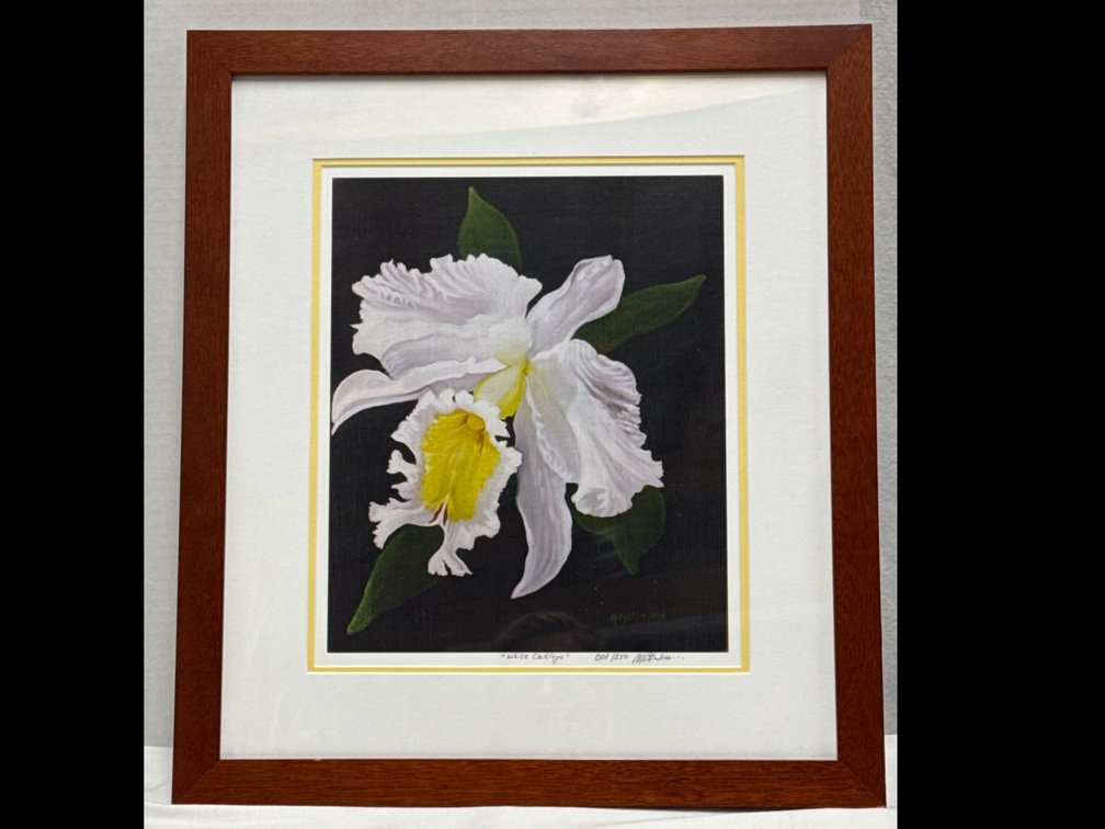 “White Catleya” Framed Art