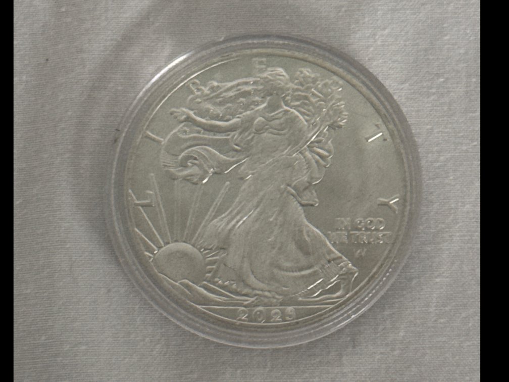 Silver Dollar “Walking Liberty”