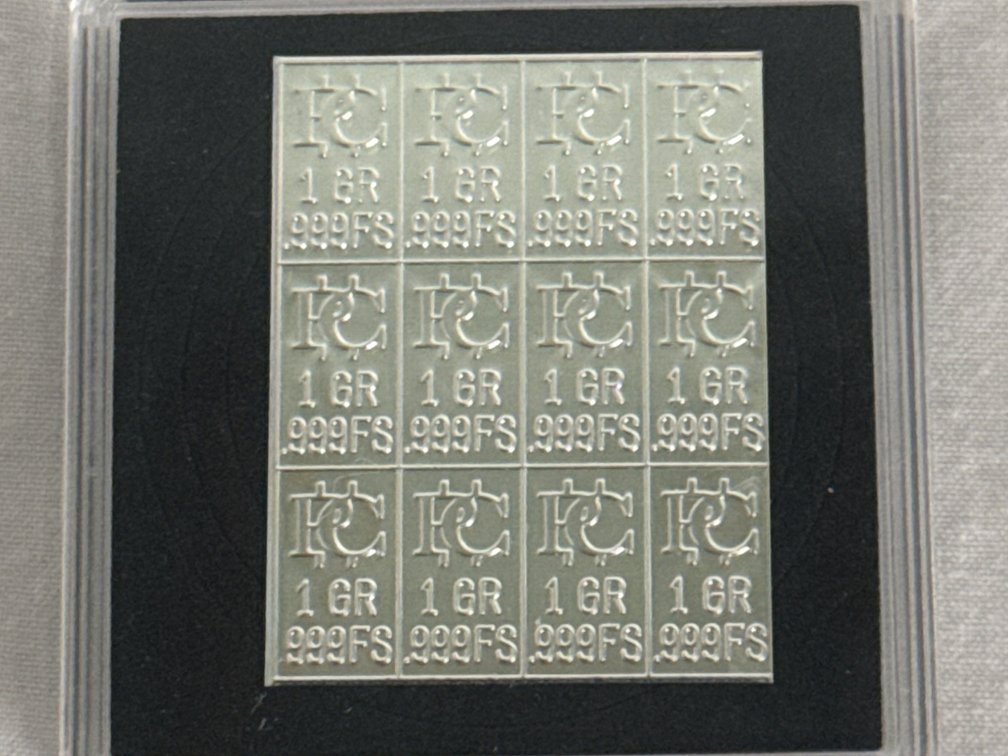 Silver Bullion Bars (12)