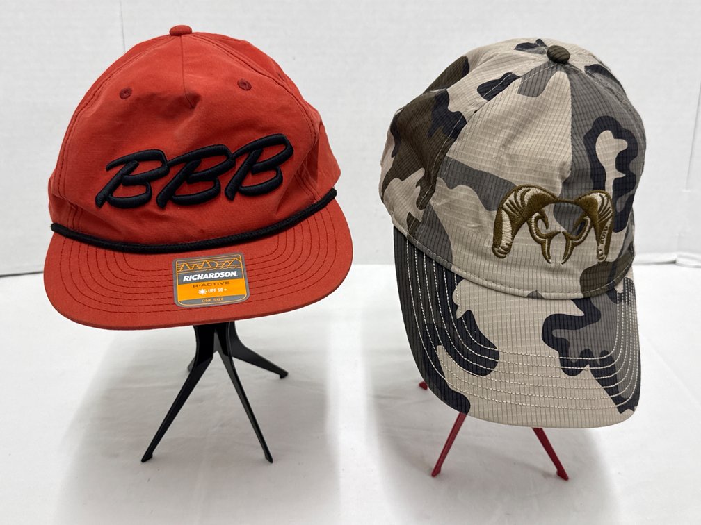 Baseball Caps (2)