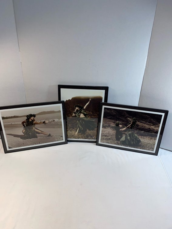 (3) Photographic Art Prints (Alan Houghton) Hawaiian Dance