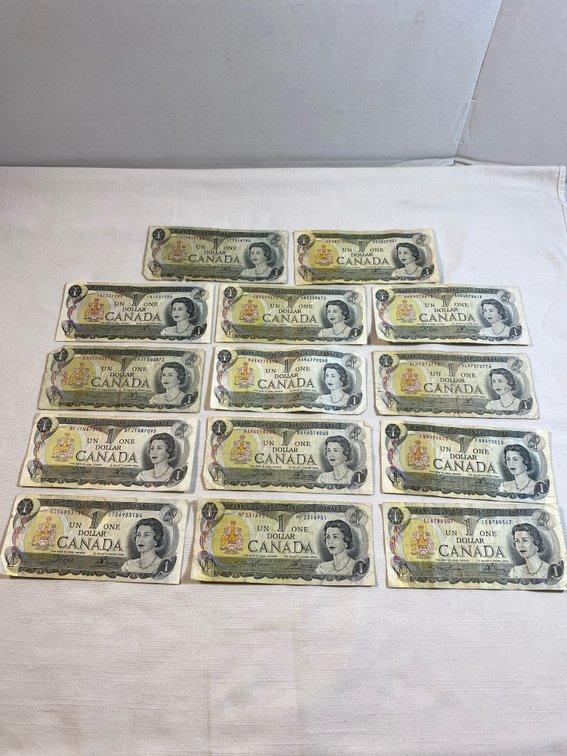 (14) Collection of Canada un One Dollar 1973