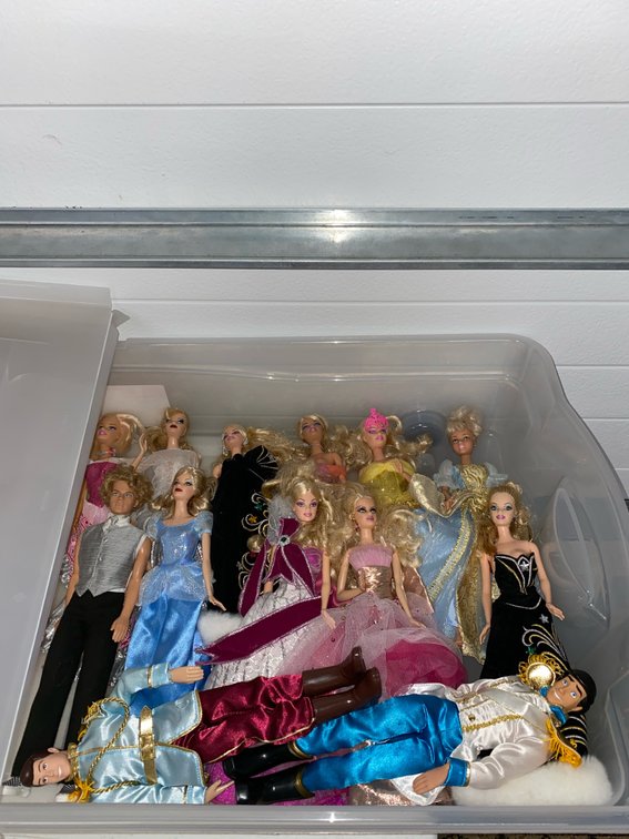 (13) Full Size Barbie Dolls (7) Horses & (1) Large Rolling Rubbermaid Tote
