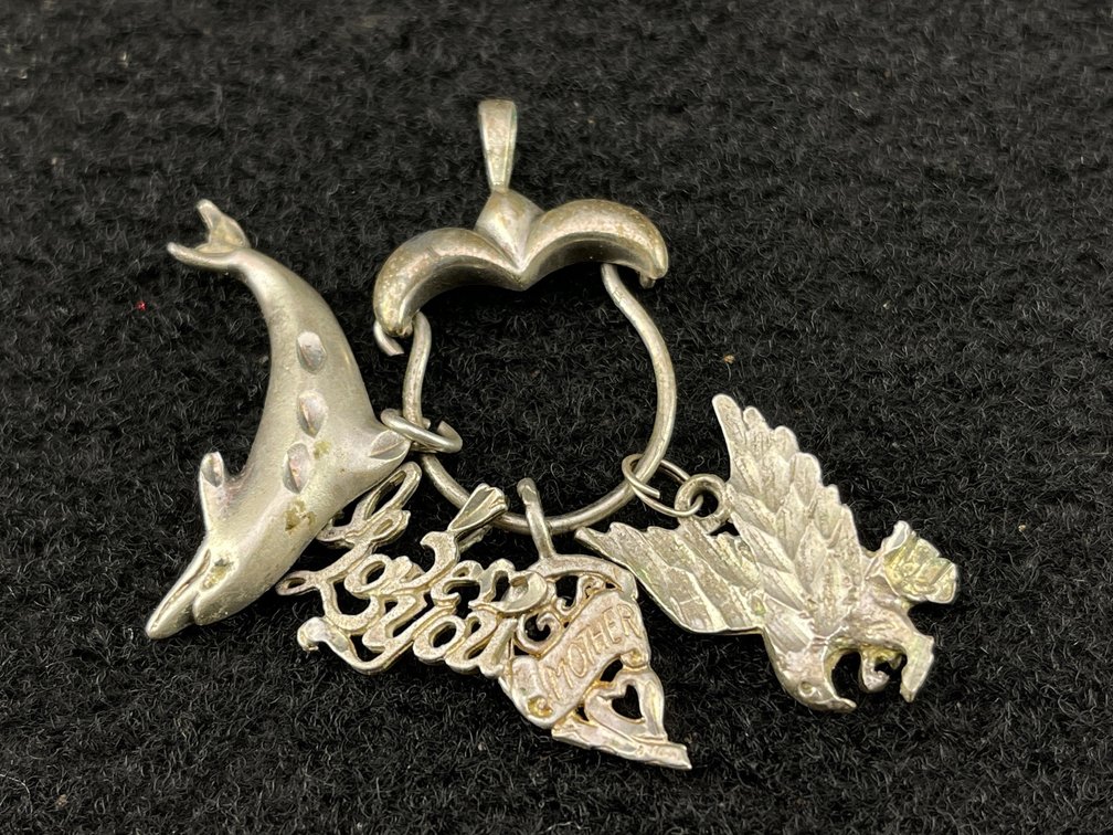 Sterling Silver Charm Holder and Pendants