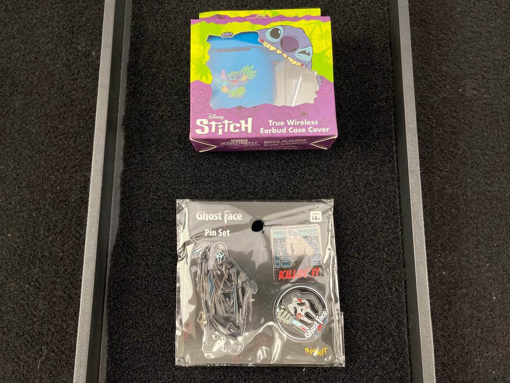 Earbud Case and Scream Pins