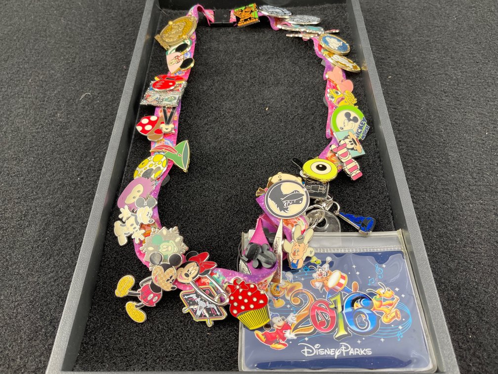 Disney Lanyard and Pins