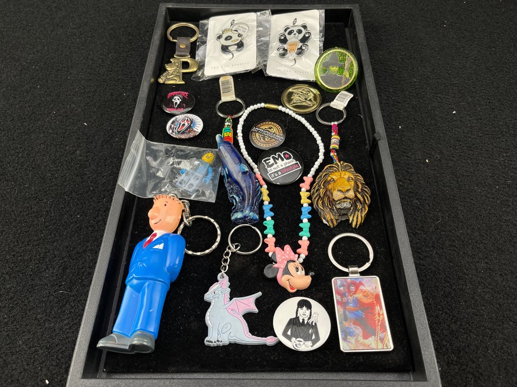 Pop Culture Keychains and Pins
