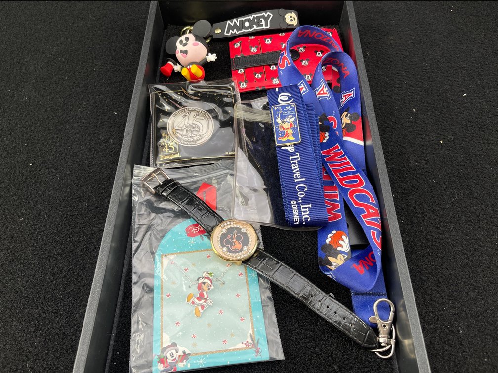 Disney Jewelry and Accessories