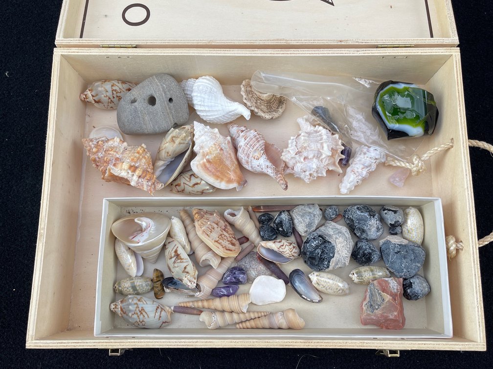 Italian Wooden Wine Case with Seashells