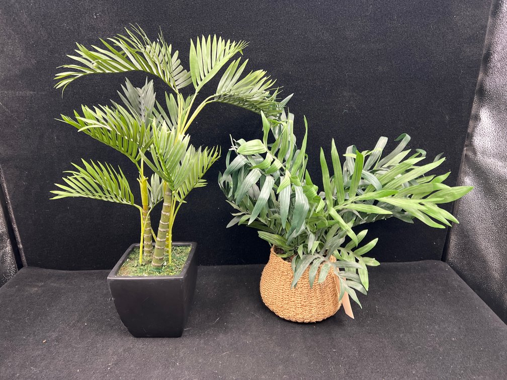2 Faux Plants