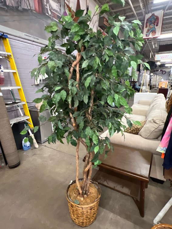 Fake Potted Tree