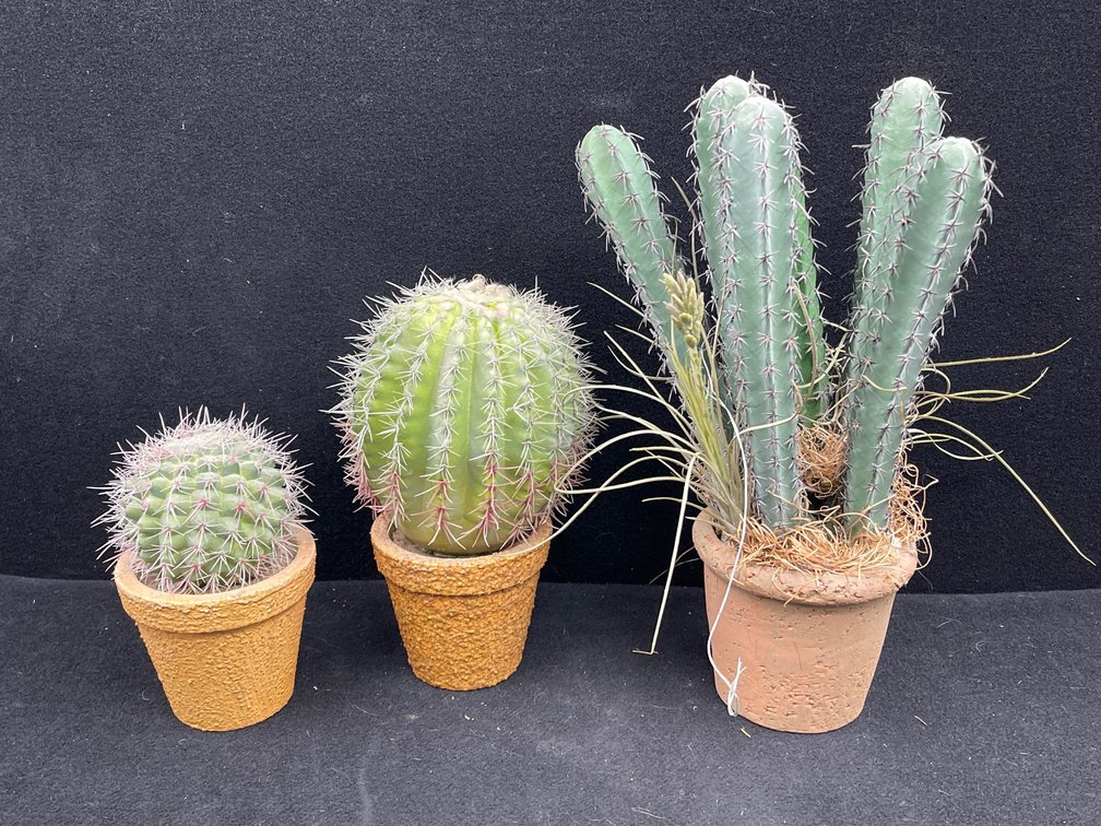 3 Faux Cactus Plants