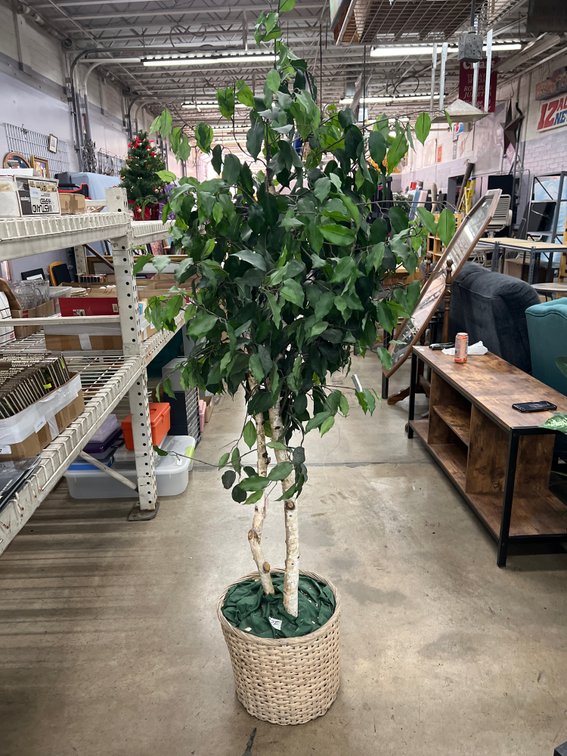 Potted Fake Tree