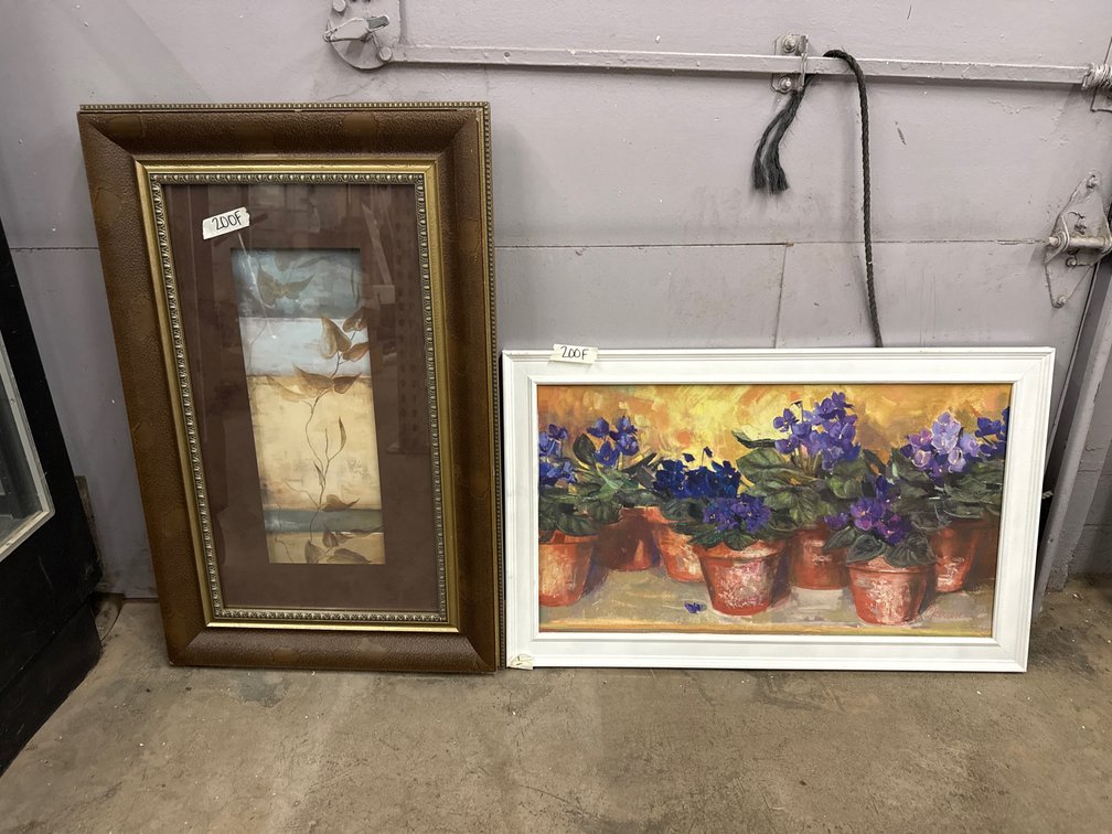 2 Flower Pictures
