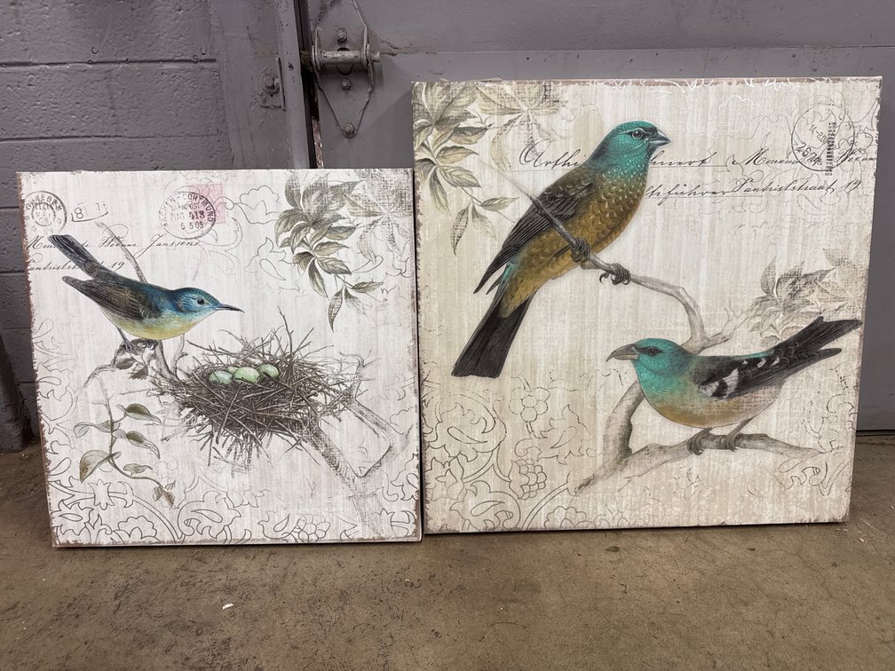2 Canvas Bird Pictures