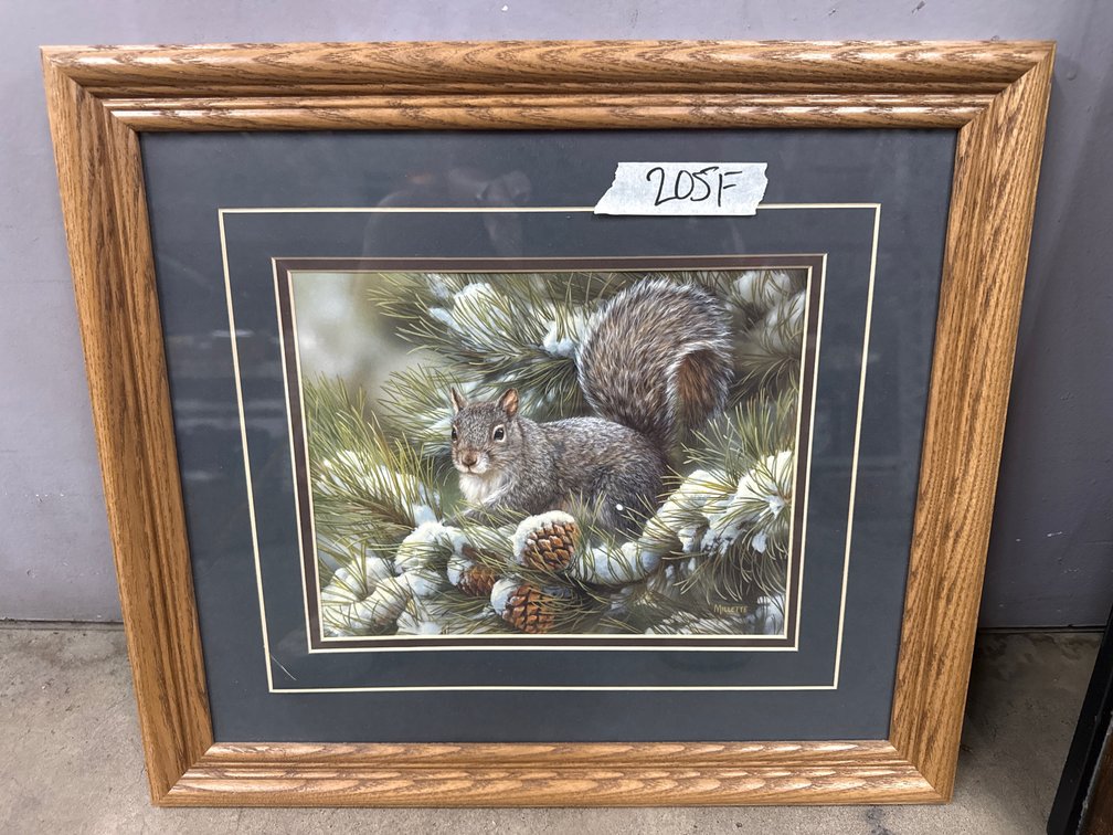 Squirrel Picture by Milliette