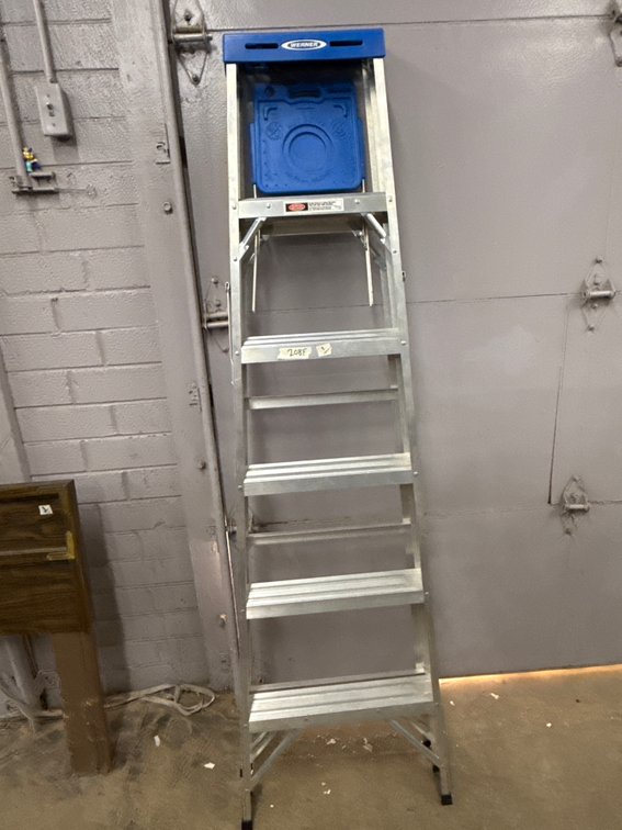 6ft Werner Ladder