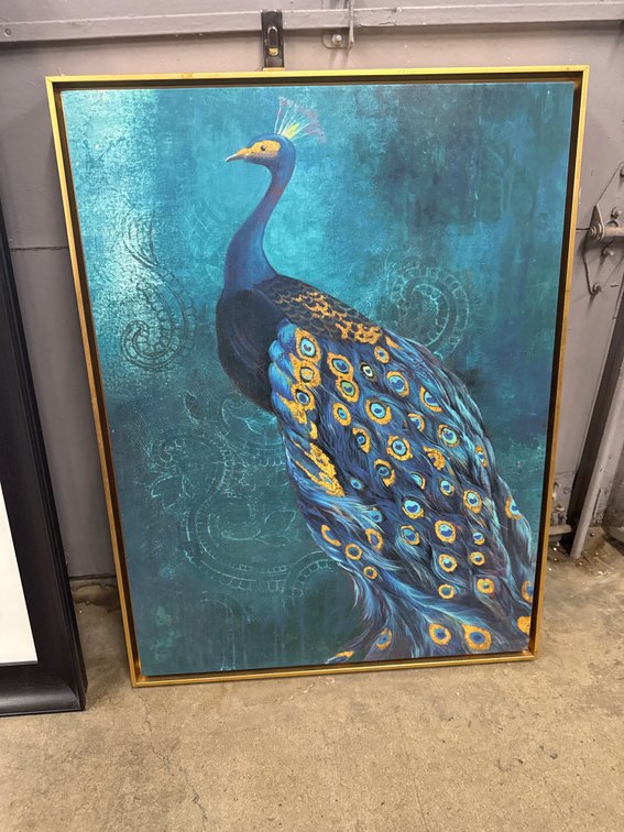 Peacock Canvas Picture