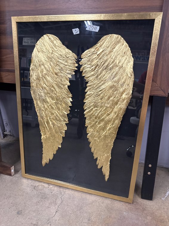 Angel Wing Picture