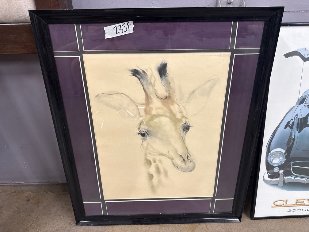 Water Color Giraffe Picture