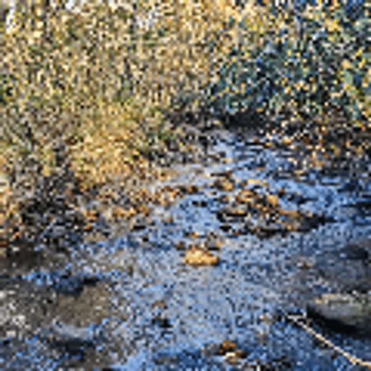 Image for PENDING SALE! Preston County Acreage! 1.25 Acres BIG SANDY! Beautiful land off of Salem Road! Bidding Begins Closing on December 11th, 2025, at 6:00 p.m.