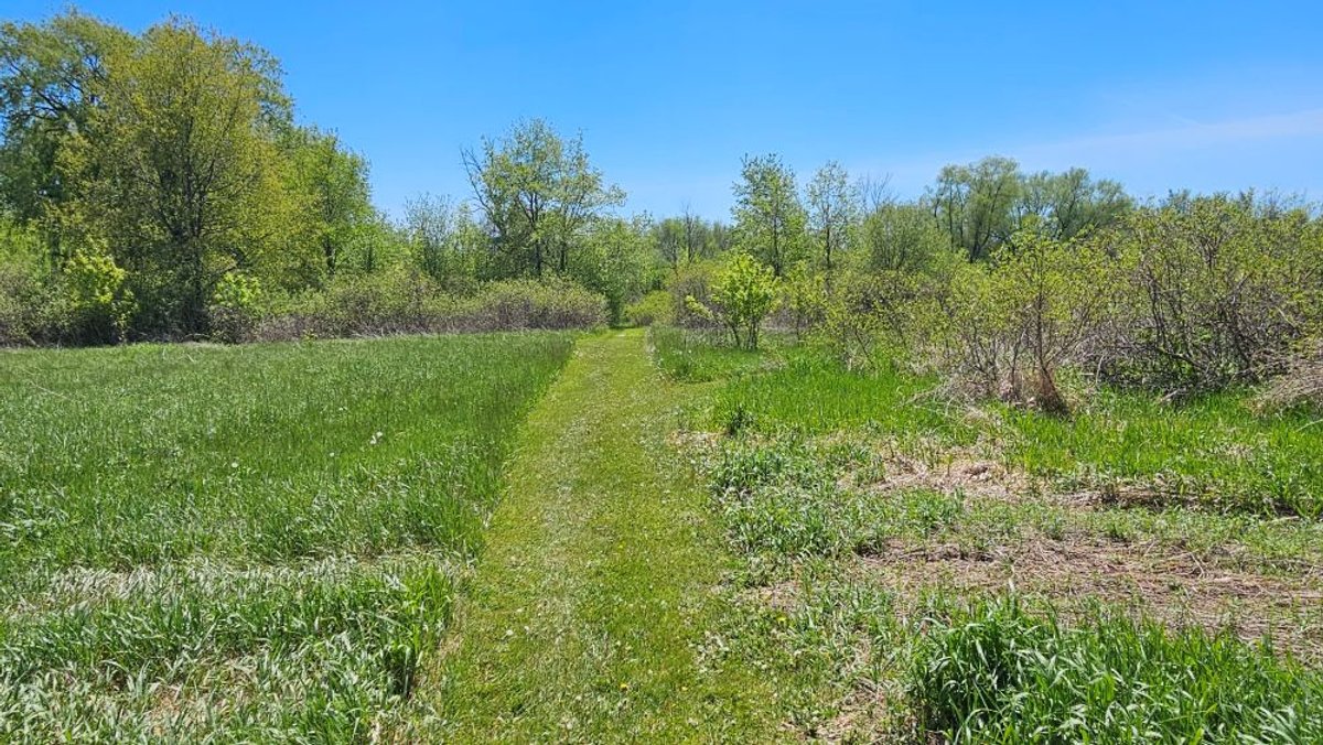 Image for 16+ Acres of Quiet Country Living
