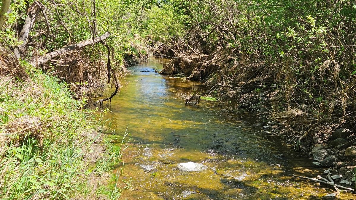 Image for 16+ Acres of Quiet Country Living