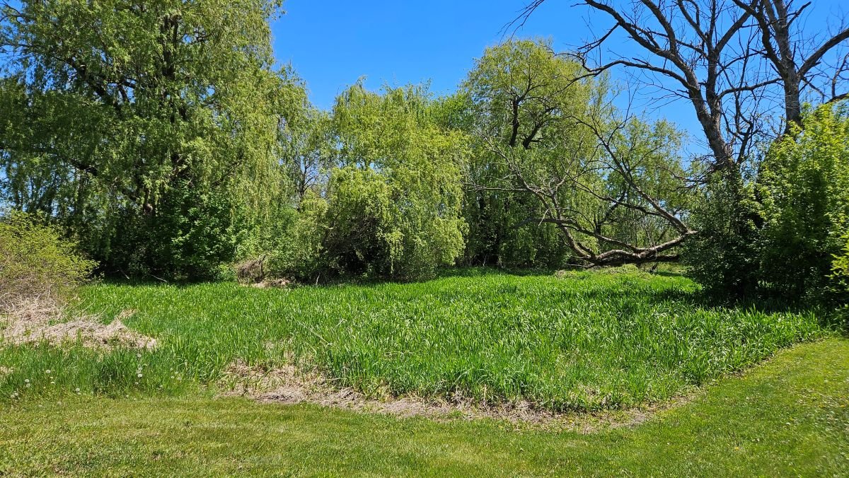 Image for 16+ Acres of Quiet Country Living