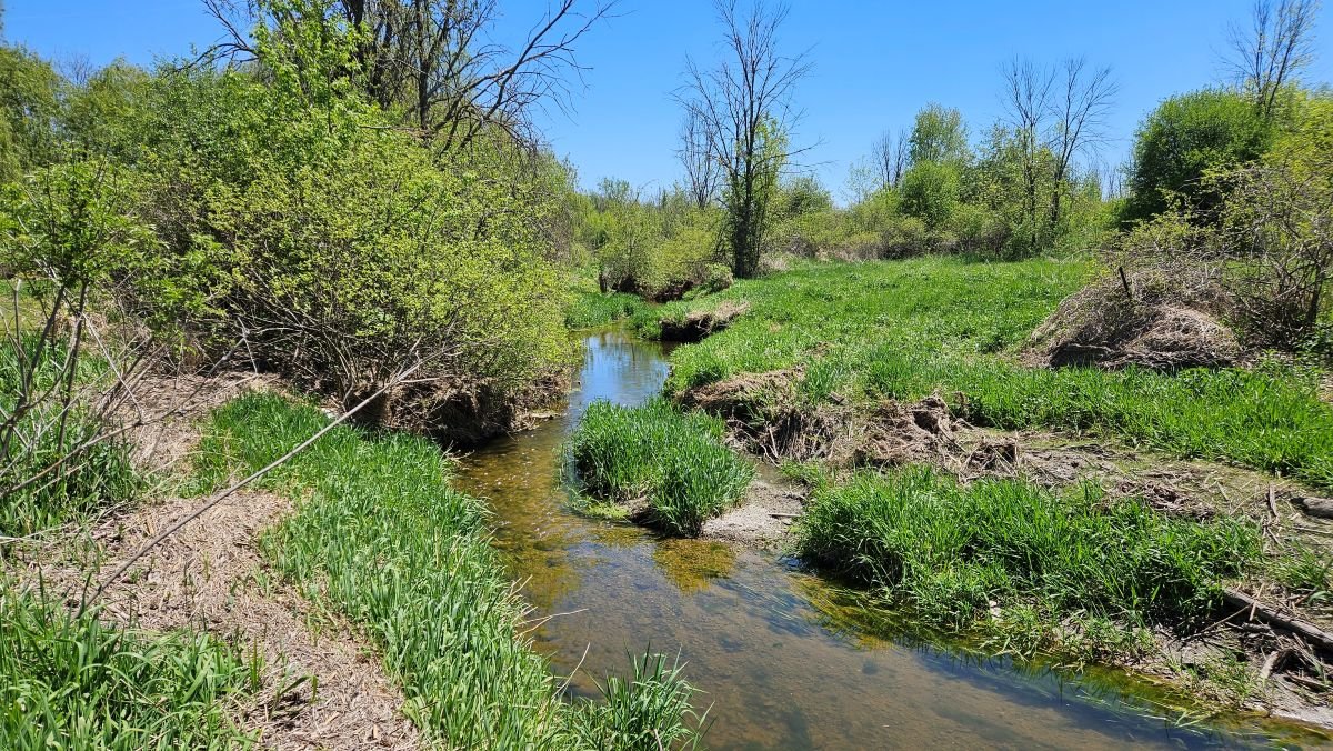 Image for 16+ Acres of Quiet Country Living