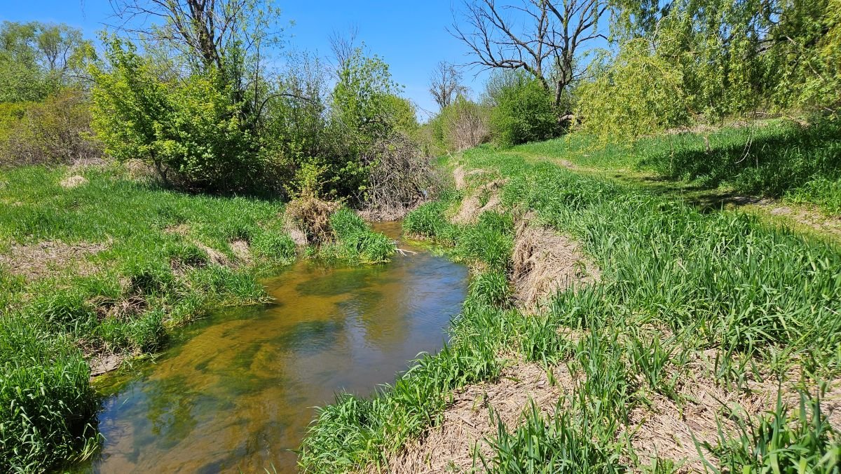 Image for 16+ Acres of Quiet Country Living