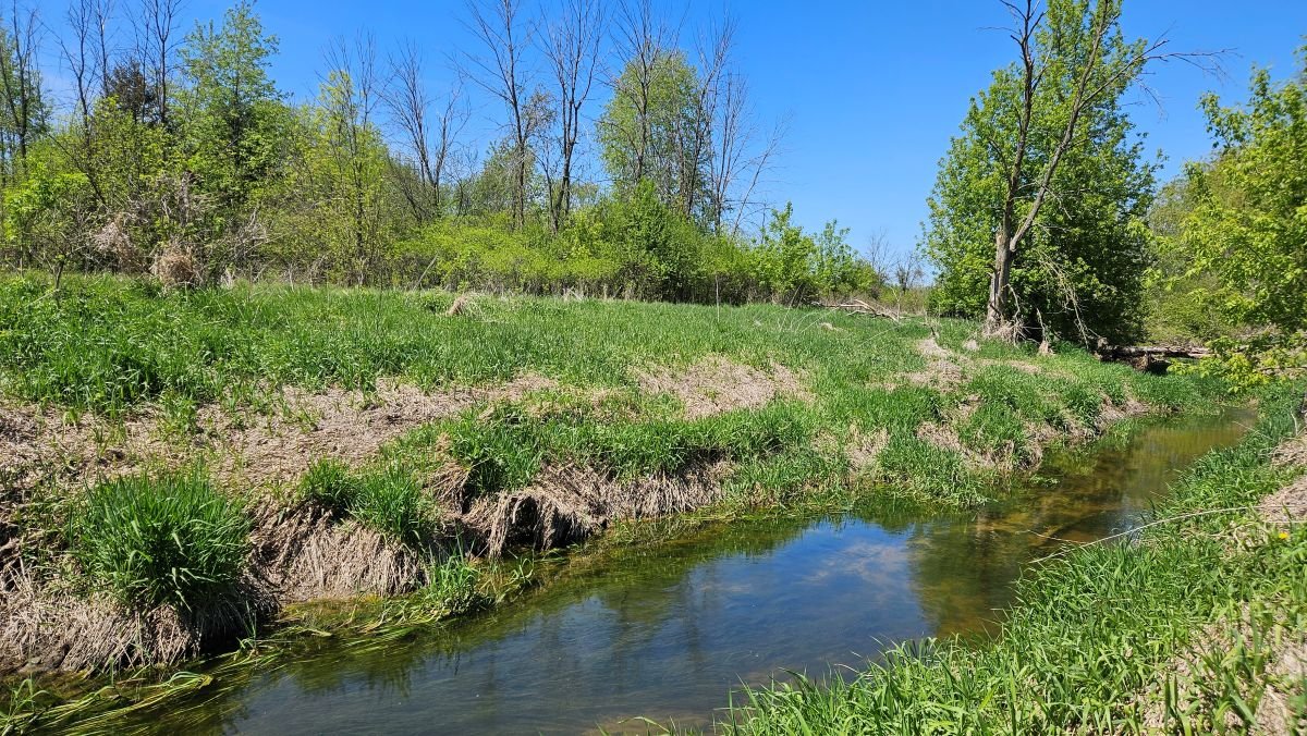 Image for 16+ Acres of Quiet Country Living
